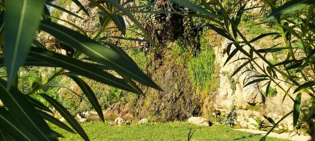 הוילה בנאוחאן Molino Del Caracol מראה חיצוני תמונה